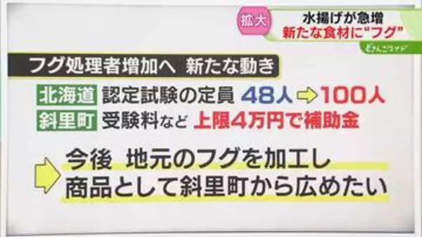 【解説】フグの処理者増加へ　地元で加工して新たな商品に　“認定試験”の補助も…　北海道