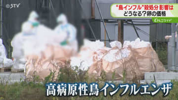 タマゴ価格への影響は…「ウイルス流行は春先まで」鳥インフルエンザでニワトリ殺処分　道内に広がる