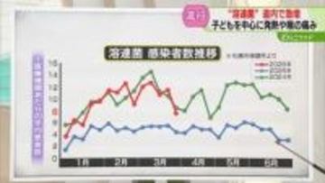 【解説】溶連菌の平均患者数　札幌市内の推移は　先月まで警報レベル…感染予防を　北海道