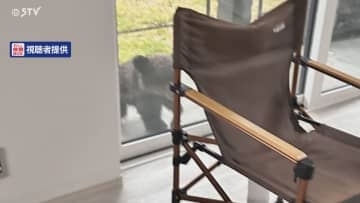 「クマがべランダ窓近くにいる」住宅街で子グマ目撃相次ぐ 札幌市南区の住宅