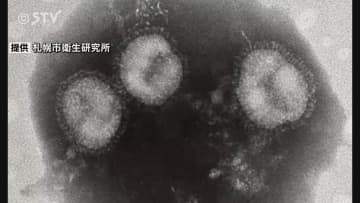 「警報」基準の2倍超え…インフル猛威　過去10年間で最多人数　前週の1.4倍に急拡大　北海道