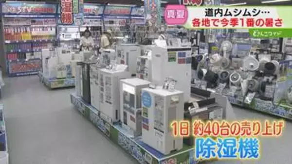 湿度高い日が続く道内…毎日除湿機４０台が売れるほどに「洗濯物なかなか乾かない」熱中症に厳重警戒