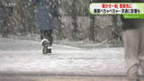 「欠航で約7000人に影響　広い範囲で湿った雪　札幌中心部はピーク過ぎる…路面凍結などに注意」の画像1