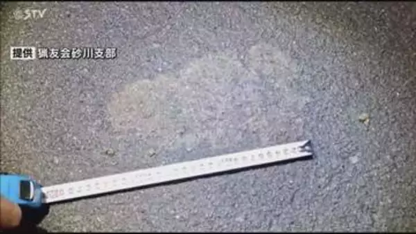 ドライバーが体長約2メートルのクマを目撃…現場にはおよそ24センチのクマの足跡も 北海道砂川市