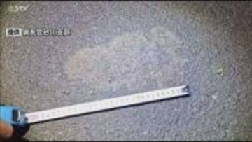 ドライバーが体長約2メートルのクマを目撃…現場にはおよそ24センチのクマの足跡も 北海道砂川市