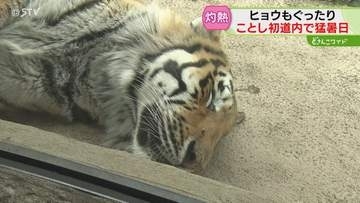 「死んでしまうんじゃないか」道内4地点でことし初の猛暑日　役場にエアコンなく「倒れそう」