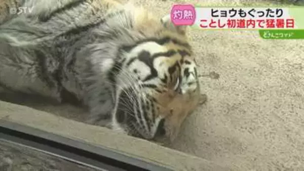 「死んでしまうんじゃないか」道内4地点でことし初の猛暑日　役場にエアコンなく「倒れそう」