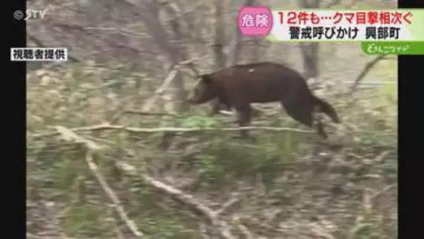 【映像】「恐ろしくて外に出られない」体長2メートルのクマ目撃　興部町で12件…警戒呼びかけ