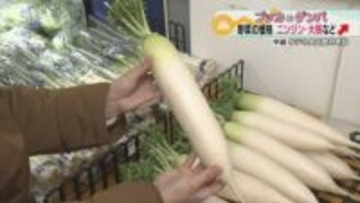 全国的な“最強寒波”で…関東産野菜の収穫量が減少　3~5割ほど価格上昇か　少しの我慢で平年並みに