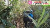 「4月～6月は遭難者増加　道なき道を進む「タケノコ採り」クマと遭遇するリスクも　必要な備えは？」の画像1