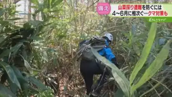 4月～6月は遭難者増加　道なき道を進む「タケノコ採り」クマと遭遇するリスクも　必要な備えは？