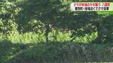 「「クマが連れ去ったのでは」ヤギを引きずって襲ったか　やぶの中でヤギ食べるクマ確認　北海道」の画像1