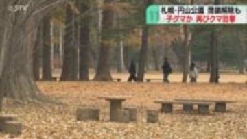円山公園に再び…子グマ目撃「今ごろおかしいですよね」公園閉鎖が解除されたばかり　札幌市