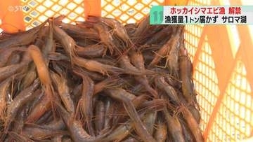 ホッカイシマエビ漁はじまる　初日の漁獲量は１トン届かず　サロマ湖の資源回復めざす　北海道湧別町