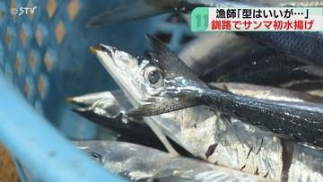 サンマ約103キロ初水揚げ　初競り最高値1キロ44万円「魚体ぴかぴか…澄んだ目」北海道・釧路