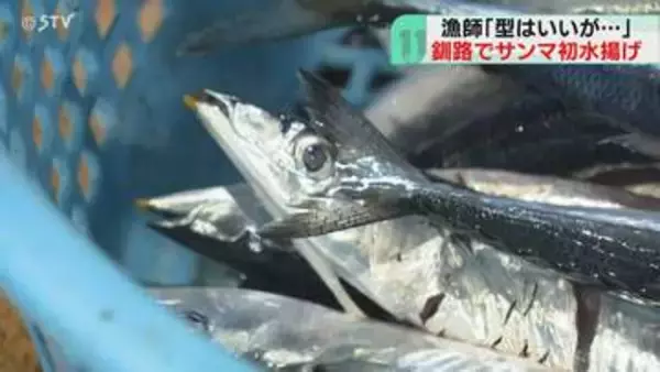 サンマ約103キロ初水揚げ　初競り最高値1キロ44万円「魚体ぴかぴか…澄んだ目」北海道・釧路