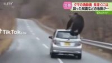 【注意】車に飛び乗ったクマ　SNSで偽動画が大量拡散　見抜くポイントは“描写の矛盾”北海道