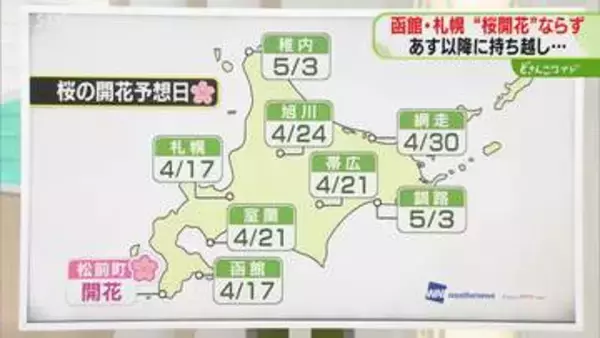 【桜の開花】函館と札幌は17日か　平年より10日から2週間程度早い予想　旭川や釧路は？