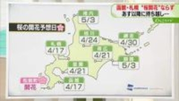 【桜の開花】函館と札幌は17日か　平年より10日から2週間程度早い予想　旭川や釧路は？