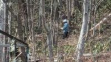 窓から外を見たらクマ！住宅から約10メートルの距離に1頭…そのまま山林方向へ 札幌市中央区宮の森