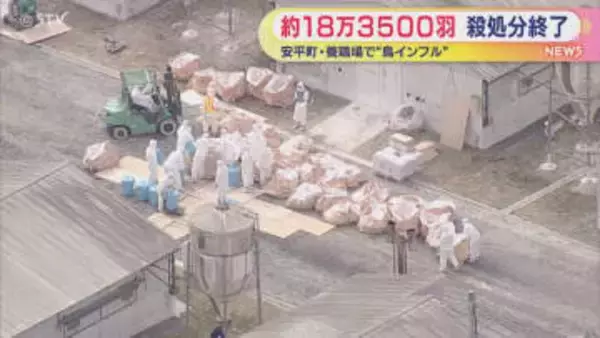 養鶏場で感染確認“鳥インフルエンザ”　ニワトリ約１８万３５００羽の殺処分を終了　北海道安平町