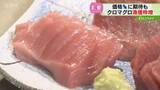 「大型クロマグロ漁獲枠増加へ　価格低下に期待の一方で…マグロ料理専門店「喜んではいられない」北海道」の画像1