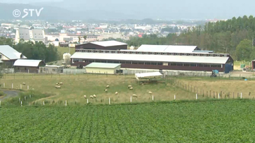 機内食や国際会議で提供　羊肉育てた農場など経営破たん　負債およそ25億円　北海道士別市