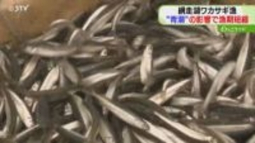強風で湖の酸素減る「青潮」ワカサギ大量死で漁期短縮　通常１か月→7日間に　北海道・網走湖
