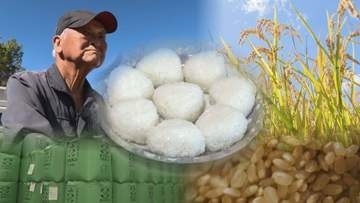 先行き不安で“離農”決断も　岐路迎えた北海道のコメ作り　日本の主食を守る…農家の苦悩