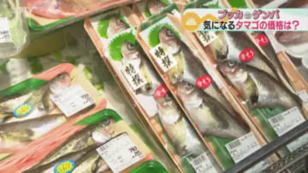 魚介類とタマゴの物価を調査「いまおすすめはハタハタ」タマゴは平年より２６％高値に…北海道
