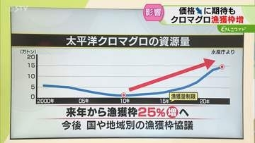 【解説】クロマグロの漁獲枠　資源回復うけ25％拡大合意　国や地域別の漁獲枠協議へ　北海道