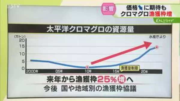【解説】クロマグロの漁獲枠　資源回復うけ25％拡大合意　国や地域別の漁獲枠協議へ　北海道
