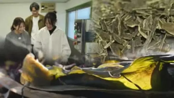 SHIROの新製品に採用！「日高昆布」の可能性に魅了され起業した大学生　コンブの価値を高める“若者の発想力”　北海道