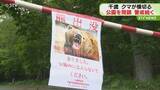 「クマ1頭が公園内を横切る　サッカー場の真ん中を北へ　公園を閉鎖し警戒　北海道千歳市」の画像1