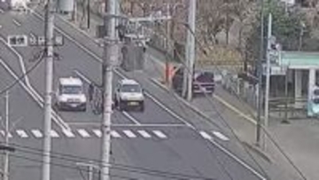 飲酒運転の取り締まりからパトカーが追跡…乗用車が街路樹なぎ倒す 男を酒気帯び運転容疑で逮捕