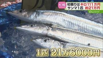 見た目も太く脂乗りありそう　スーパーで１匹約21万円　釧路のサンマに「ご祝儀価格」