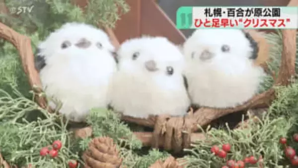 一足早くクリスマス気分に！シマエナガ乗ったリースも　園芸家の手作りリースなど展示　札幌市