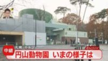 敷地内でクマ捕獲・駆除　円山動物園前から中継　周辺住民からは引き続き不安の声も　札幌市