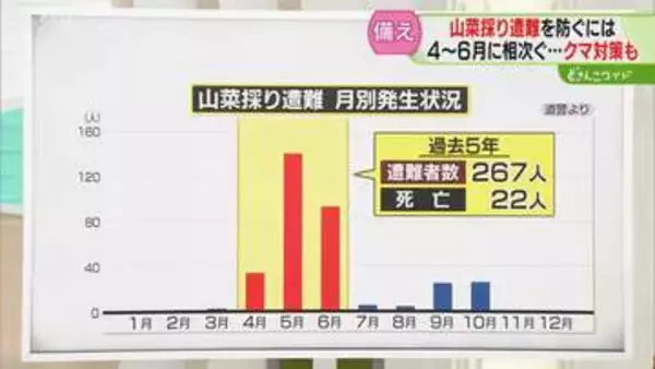 【解説】山菜採り遭難に注意　４月～６月に多発する傾向　携帯電話の所持など対策を　北海道