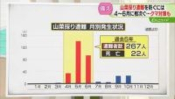 【解説】山菜採り遭難に注意　４月～６月に多発する傾向　携帯電話の所持など対策を　北海道