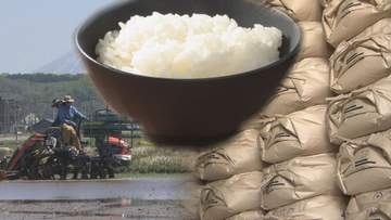 消費者離れに価格下落　先行き不透明のコメ事情…　在庫率は“過去最高”40%　販売競争加速か