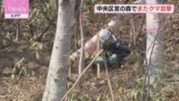 「ヒグマの可能性が高い」住宅街から約10メートル クマ1頭目撃　札幌市中央区