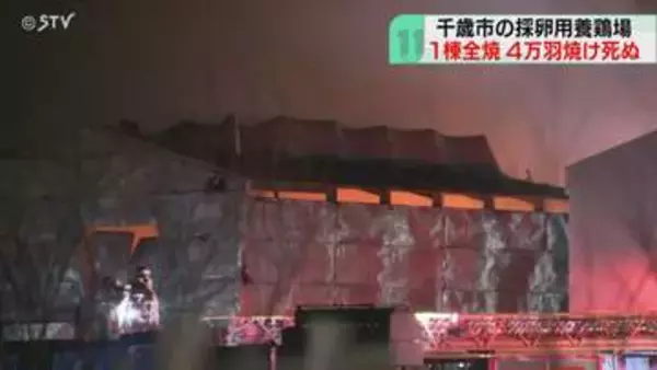 ニワトリ約４万羽が焼け死ぬ　採卵用養鶏場で鶏舎１棟全焼　約10時間後に鎮火　北海道千歳市