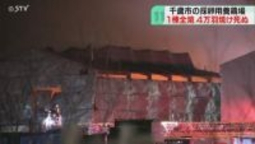 ニワトリ約４万羽が焼け死ぬ　採卵用養鶏場で鶏舎１棟全焼　約10時間後に鎮火　北海道千歳市