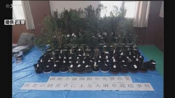 【画像】共同住宅で大麻草を大量栽培…約515万円相当の乾燥した植物片も　39歳男を逮捕　北海道