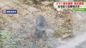 クマ１頭駆除　住宅街で目撃相次ぎ 人的被害の恐れで　札幌市南区藤野