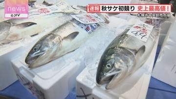 【速報】1キロ18万8888円の史上最高値　北海道の秋の味覚「秋サケ」初競り　札幌市