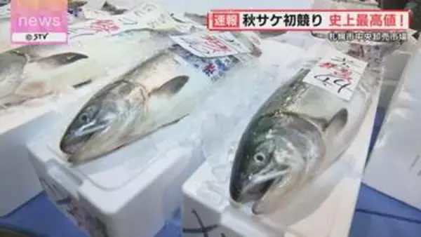 【速報】1キロ18万8888円の史上最高値　北海道の秋の味覚「秋サケ」初競り　札幌市