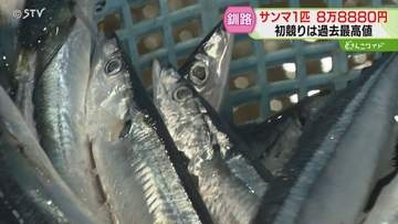 １匹８万８８８０円のサンマ「６匹買います」不漁で初水揚げは低調　初競りは過去最高値　釧路市