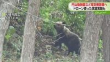 クマ出没懸念される学校や円山動物園に電気柵設置へ　出没ピークを迎える前の設置目指す　札幌市